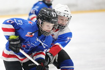 Результаты матчей 20 ноября 2022 г.