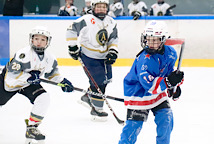 Результаты матчей 24 ноября 2024 г.